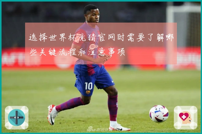 选择世界杯竞猜官网时需要了解哪些关键流程和注意事项