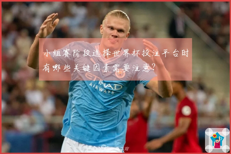 小组赛阶段选择世界杯投注平台时有哪些关键因素需要注意？