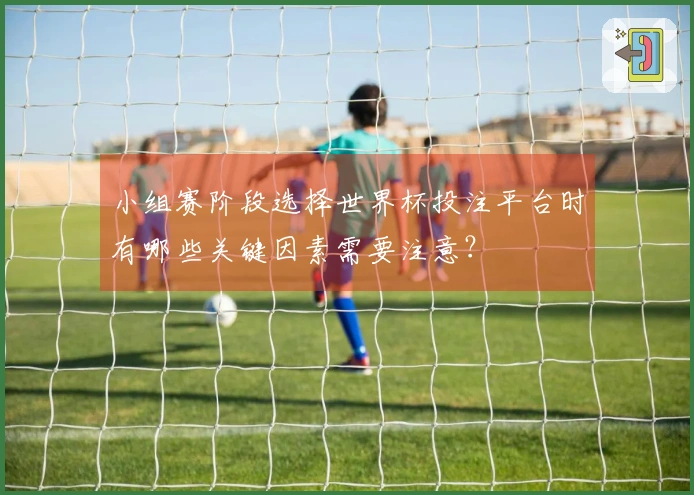 小组赛阶段选择世界杯投注平台时有哪些关键因素需要注意？