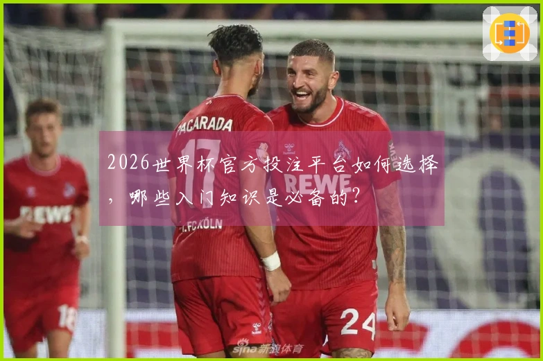 2026世界杯官方投注平台如何选择,哪些入门知识是必备的?