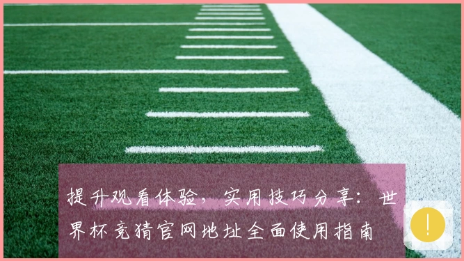 提升观看体验，实用技巧分享：世界杯竞猜官网地址全面使用指南