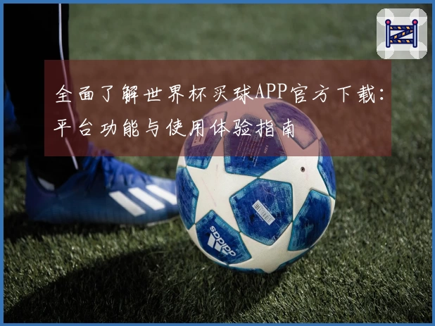 全面了解世界杯买球APP官方下载：平台功能与使用体验指南