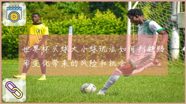 世界杯买球大小球玩法如何判断赔率变化带来的风险和机会