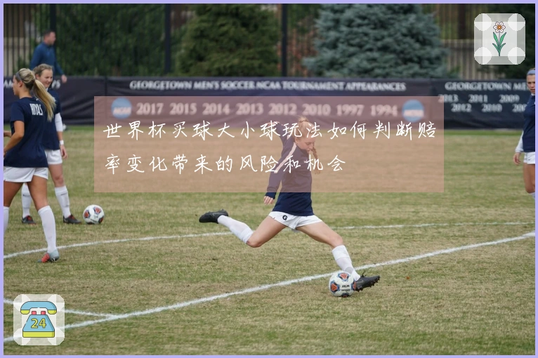 世界杯买球大小球玩法如何判断赔率变化带来的风险和机会
