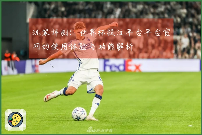 玩家评测：世界杯投注平台平台官网的使用体验与功能解析
