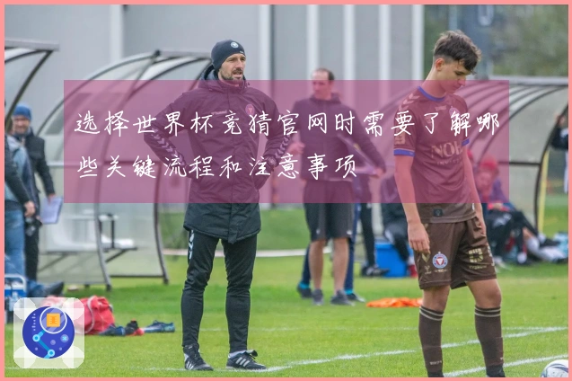 选择世界杯竞猜官网时需要了解哪些关键流程和注意事项