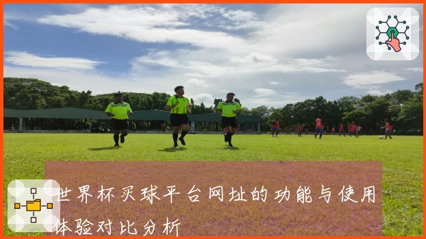 世界杯买球平台网址的功能与使用体验对比分析