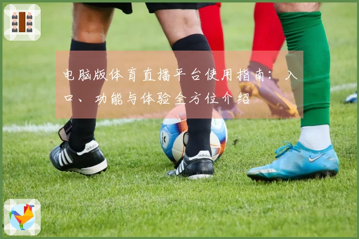 电脑版体育直播平台使用指南:入口、功能与体验全方位介绍