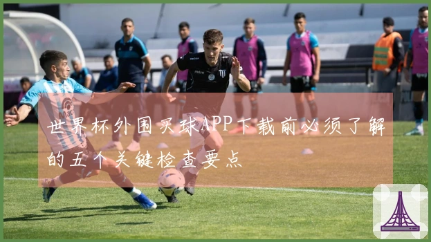 世界杯外围买球APP下载前必须了解的五个关键检查要点