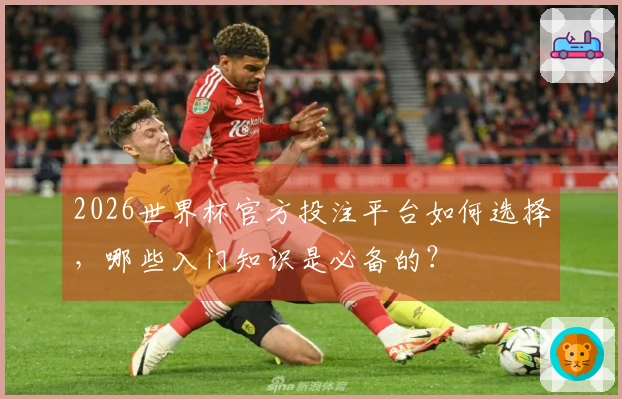 2026世界杯官方投注平台如何选择，哪些入门知识是必备的？