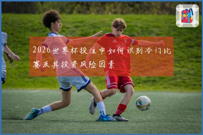 2026世界杯投注中如何识别冷门比赛及其投资风险因素