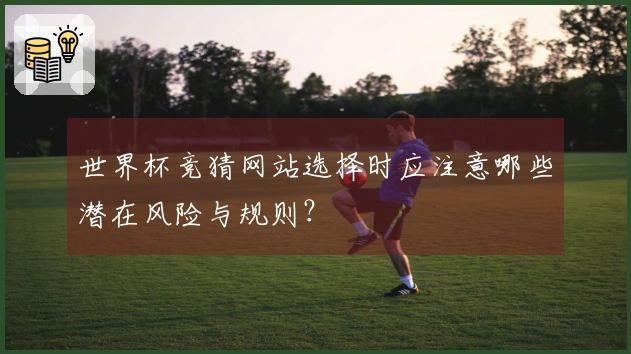 世界杯竞猜网站选择时应注意哪些潜在风险与规则？