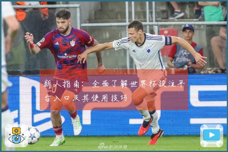新人指南：全面了解世界杯投注平台入口及其使用技巧