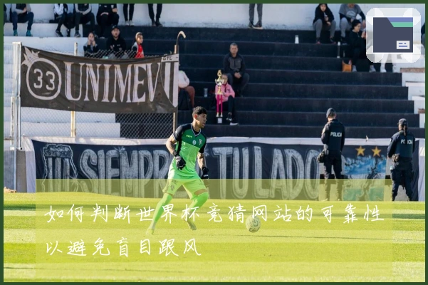 如何判断世界杯竞猜网站的可靠性以避免盲目跟风