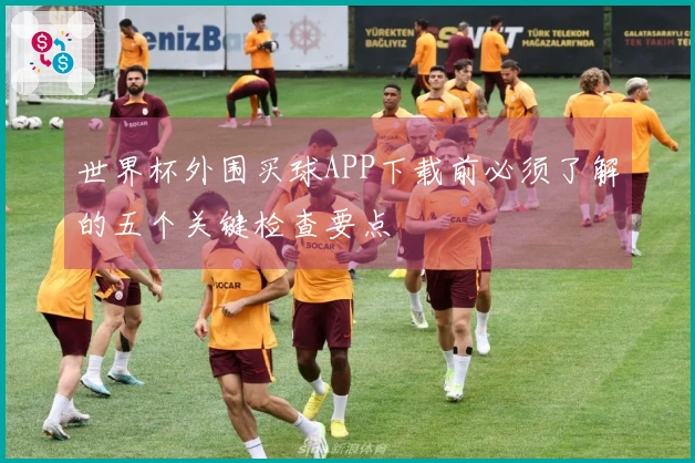 世界杯外围买球APP下载前必须了解的五个关键检查要点