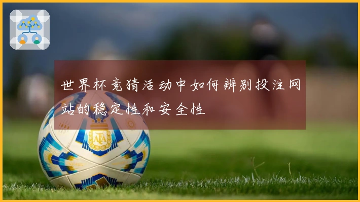 世界杯竞猜活动中如何辨别投注网站的稳定性和安全性
