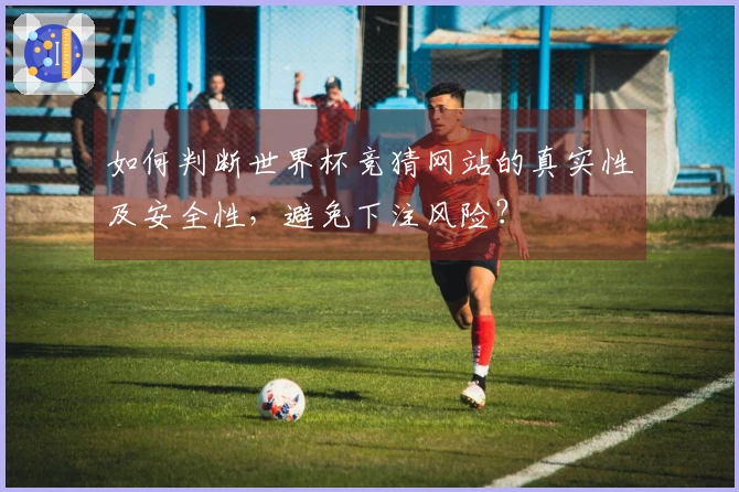 如何判断世界杯竞猜网站的真实性及安全性，避免下注风险？