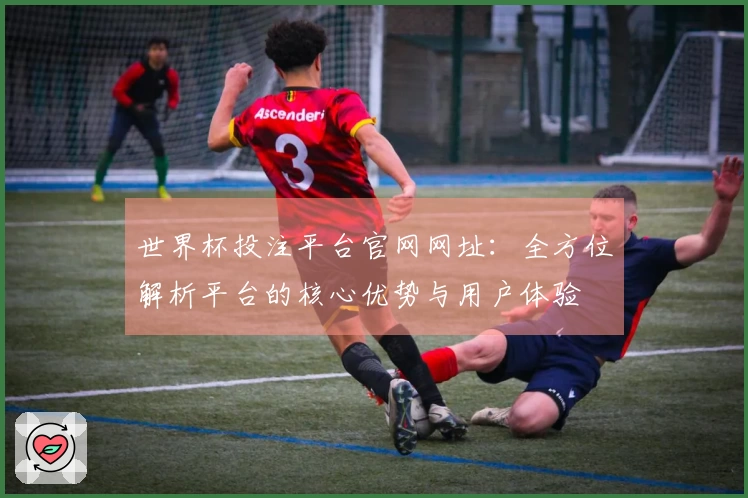 世界杯投注平台官网网址：全方位解析平台的核心优势与用户体验