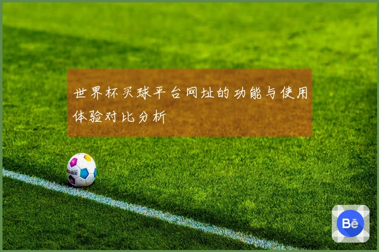 世界杯买球平台网址的功能与使用体验对比分析